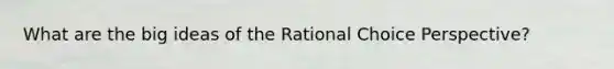 What are the big ideas of the Rational Choice Perspective?