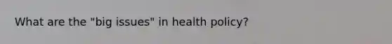 What are the "big issues" in health policy?