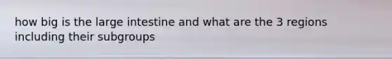 how big is the large intestine and what are the 3 regions including their subgroups