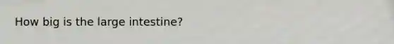 How big is the <a href='https://www.questionai.com/knowledge/kGQjby07OK-large-intestine' class='anchor-knowledge'>large intestine</a>?