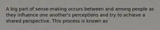 A big part of sense-making occurs between and among people as they influence one another's perceptions and try to achieve a shared perspective. This process is known as