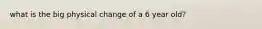 what is the big physical change of a 6 year old?