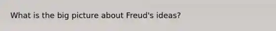 What is the big picture about Freud's ideas?