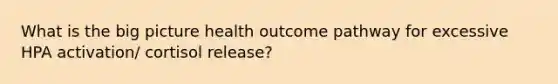 What is the big picture health outcome pathway for excessive HPA activation/ cortisol release?