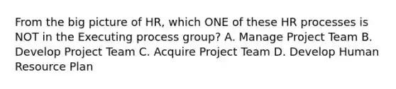 From the big picture of HR, which ONE of these HR processes is NOT in the Executing process group? A. Manage Project Team B. Develop Project Team C. Acquire Project Team D. Develop Human Resource Plan