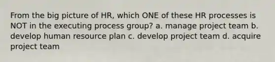 From the big picture of HR, which ONE of these HR processes is NOT in the executing process group? a. manage project team b. develop human resource plan c. develop project team d. acquire project team