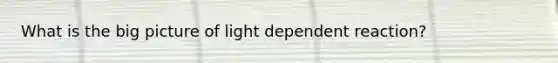 What is the big picture of light dependent reaction?