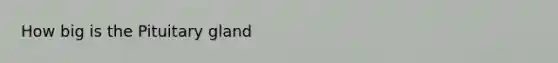 How big is the Pituitary gland