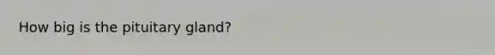 How big is the pituitary gland?