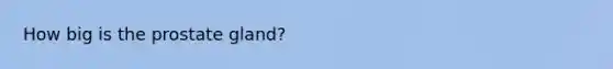 How big is the prostate gland?