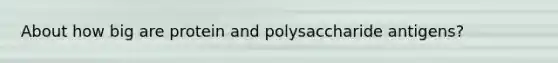 About how big are protein and polysaccharide antigens?