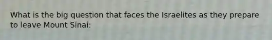 What is the big question that faces the Israelites as they prepare to leave Mount Sinai: