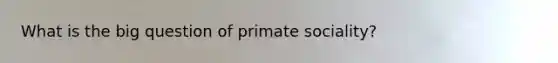 What is the big question of primate sociality?