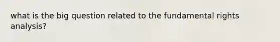 what is the big question related to the fundamental rights analysis?