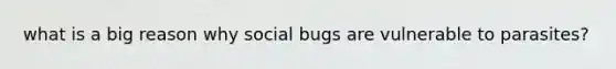 what is a big reason why social bugs are vulnerable to parasites?