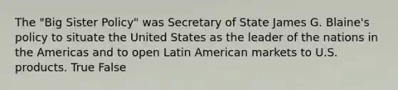 The "Big Sister Policy" was Secretary of State James G. Blaine's policy to situate the United States as the leader of the nations in the Americas and to open Latin American markets to U.S. products. True False