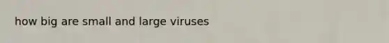 how big are small and large viruses