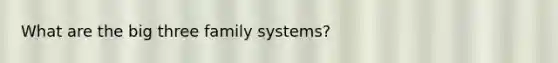 What are the big three family systems?