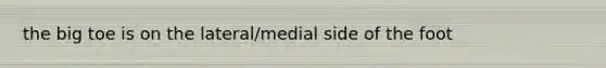 the big toe is on the lateral/medial side of the foot