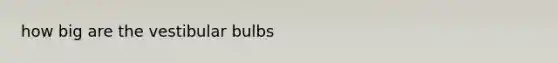 how big are the vestibular bulbs