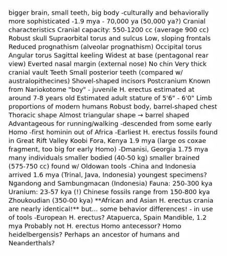 bigger brain, small teeth, big body -culturally and behaviorally more sophisticated -1.9 mya - 70,000 ya (50,000 ya?) Cranial characteristics Cranial capacity: 550-1200 cc (average 900 cc) Robust skull Supraorbital torus and sulcus Low, sloping frontals Reduced prognathism (alveolar prognathism) Occipital torus Angular torus Sagittal keeling Widest at base (pentagonal rear view) Everted nasal margin (external nose) No chin Very thick cranial vault Teeth Small posterior teeth (compared w/ australopithecines) Shovel-shaped incisors Postcranium Known from Nariokotome "boy" - juvenile H. erectus estimated at around 7-8 years old Estimated adult stature of 5'6" - 6'0" Limb proportions of modern humans Robust body, barrel-shaped chest Thoracic shape Almost triangular shape → barrel shaped Advantageous for running/walking -descended from some early Homo -first hominin out of Africa -Earliest H. erectus fossils found in Great Rift Valley Koobi Fora, Kenya 1.9 mya (large os coxae fragment, too big for early Homo) -Dmanisi, Georgia 1.75 mya many individuals smaller bodied (40-50 kg) smaller brained (575-750 cc) found w/ Oldowan tools -China and Indonesia arrived 1.6 mya (Trinal, Java, Indonesia) youngest specimens? Ngandong and Sambungmacan (Indonesia) Fauna: 250-300 kya Uranium: 23-57 kya (!) Chinese fossils range from 150-800 kya Zhoukoudian (350-00 kya) **African and Asian H. erectus crania are nearly identical!** but... some behavior differences! - in use of tools -European H. erectus? Atapuerca, Spain Mandible, 1.2 mya Probably not H. erectus Homo antecessor? Homo heidelbergensis? Perhaps an ancestor of humans and Neanderthals?