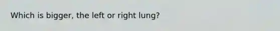 Which is bigger, the left or right lung?