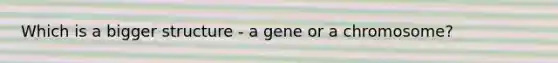 Which is a bigger structure - a gene or a chromosome?