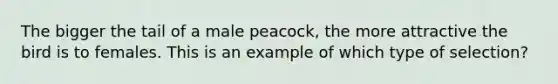 The bigger the tail of a male peacock, the more attractive the bird is to females. This is an example of which type of selection?