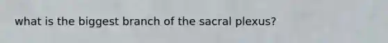 what is the biggest branch of the sacral plexus?