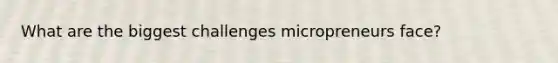 What are the biggest challenges micropreneurs face?