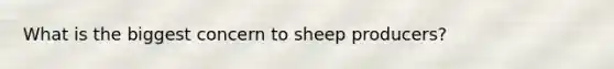 What is the biggest concern to sheep producers?