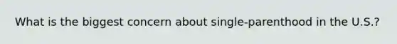 What is the biggest concern about single-parenthood in the U.S.?