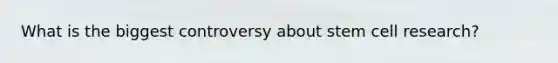 What is the biggest controversy about stem cell research?