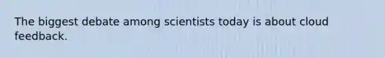 The biggest debate among scientists today is about cloud feedback.