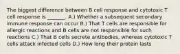 The biggest difference between B cell response and cytotoxic T cell response is _______. A.) Whether a subsequent secondary immune response can occur B.) That T cells are responsible for allergic reactions and B cells are not responsible for such reactions C.) That B cells secrete antibodies, whereas cytotoxic T cells attack infected cells D.) How long their protein lasts