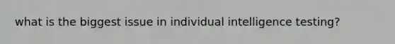 what is the biggest issue in individual intelligence testing?