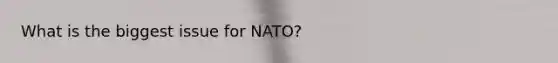 What is the biggest issue for NATO?