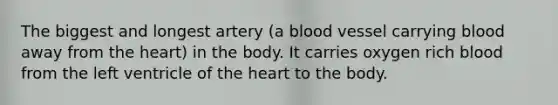 The biggest and longest artery (a blood vessel carrying blood away from the heart) in the body. It carries oxygen rich blood from the left ventricle of the heart to the body.