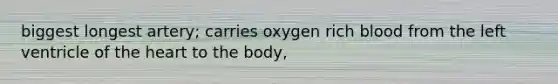 biggest longest artery; carries oxygen rich blood from the left ventricle of the heart to the body,