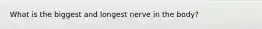 What is the biggest and longest nerve in the body?