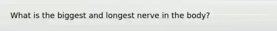 What is the biggest and longest nerve in the body?