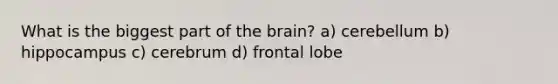 What is the biggest part of the brain? a) cerebellum b) hippocampus c) cerebrum d) frontal lobe