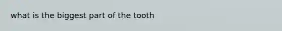 what is the biggest part of the tooth