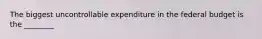 The biggest uncontrollable expenditure in the federal budget is the ________