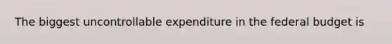 The biggest uncontrollable expenditure in <a href='https://www.questionai.com/knowledge/kS29NErBPI-the-federal-budget' class='anchor-knowledge'>the federal budget</a> is