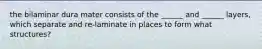 the bilaminar dura mater consists of the ______ and ______ layers, which separate and re-laminate in places to form what structures?