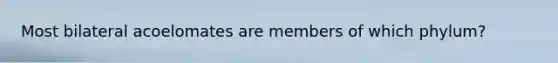 Most bilateral acoelomates are members of which phylum?