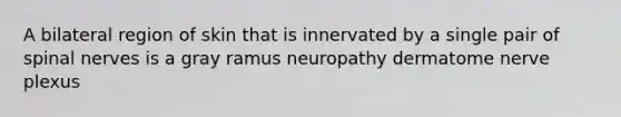 A bilateral region of skin that is innervated by a single pair of <a href='https://www.questionai.com/knowledge/kyBL1dWgAx-spinal-nerves' class='anchor-knowledge'>spinal nerves</a> is a gray ramus neuropathy dermatome nerve plexus