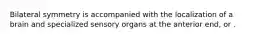 Bilateral symmetry is accompanied with the localization of a brain and specialized sensory organs at the anterior end, or .