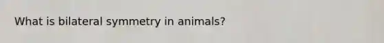 What is bilateral symmetry in animals?